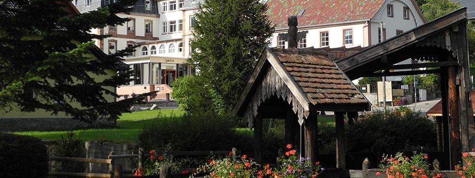 Le Grand Hotel Du Hohwald By Popinns ภายนอก รูปภาพ