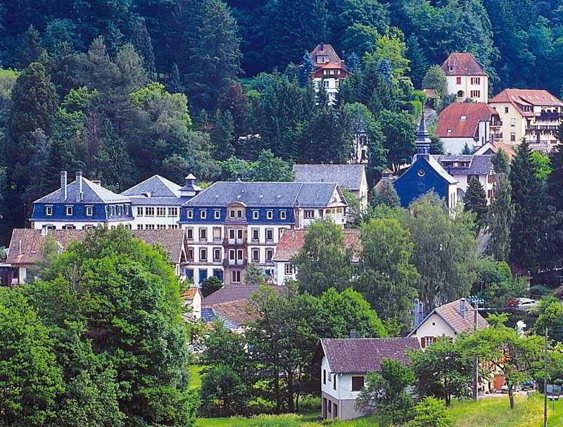 Le Grand Hotel Du Hohwald By Popinns ภายนอก รูปภาพ